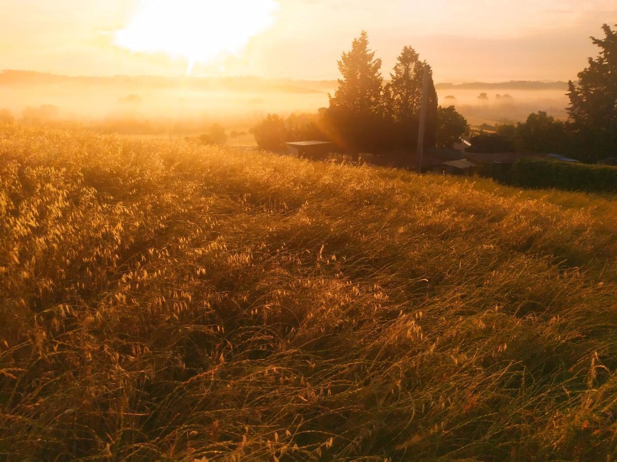 Dago Farmhouse Сиена Екстериор снимка